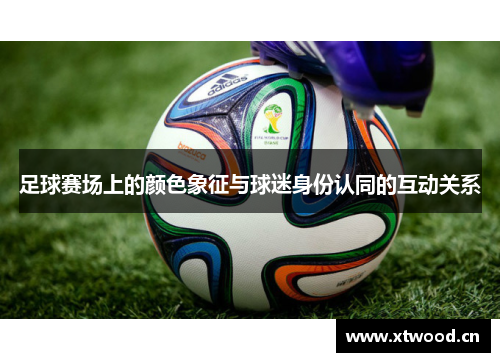 足球赛场上的颜色象征与球迷身份认同的互动关系