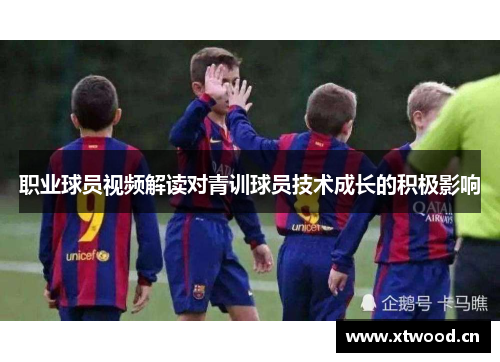 职业球员视频解读对青训球员技术成长的积极影响